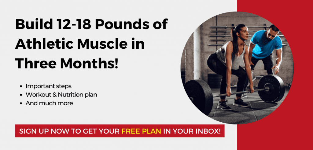 3 Months FREE Muscle Building Plan