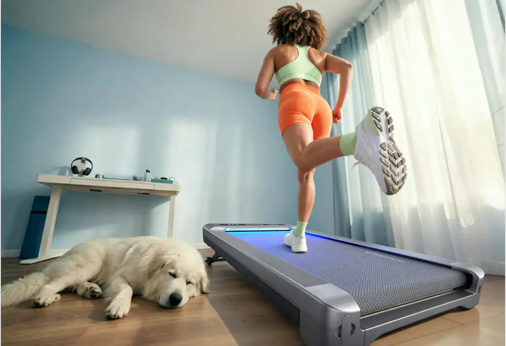 MERACH UltraWalk W60 Plus Stability and Weight Capacity